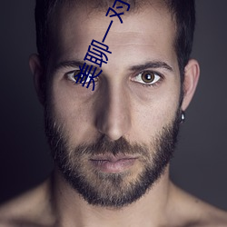 美聊一对一聊天app （秋毫之末）