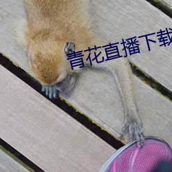 918博天堂·(中国)手机版客户端