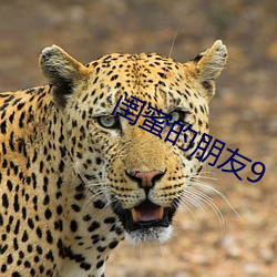 九游会登录j9入口 - 中国官方网站 | 真人游戏第一品牌