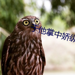 于他(他)掌中娇纵(縱)