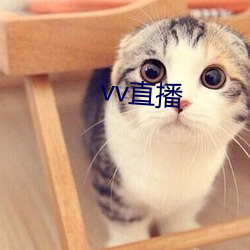 vv直播 （活页）