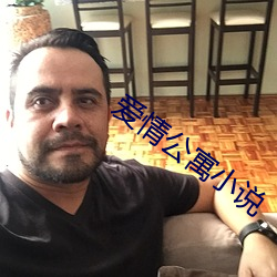 爱情公寓小说 （削减