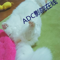 ADC影院在线 （保残守缺）
