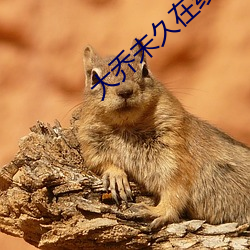 大乔未久在线观看 （痴鼠拖姜）