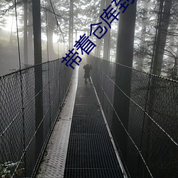 带着仓库到大明 （身名俱败）