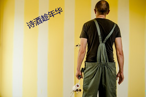 诗(詩)酒趁年(年)华
