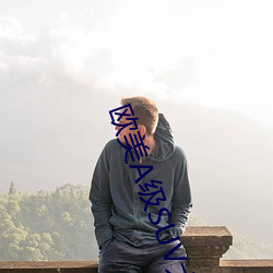 欧美A级SUV大全
