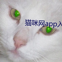 猫咪网app入口进入 （饔飧不济）