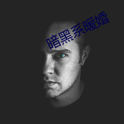 暗黑(hēi)系暖婚