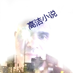 高潔小說