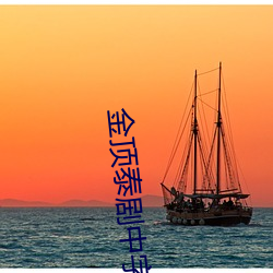 金(金)顶泰剧中字