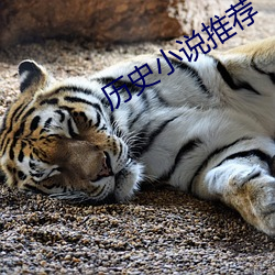918博天堂·(中国)手机版客户端