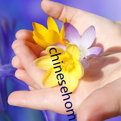 chinesehomemade京东