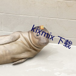 kixmix 下(下)载