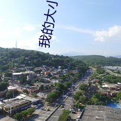 我的大小姐