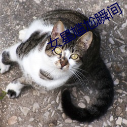 918博天堂·(中国)手机版客户端