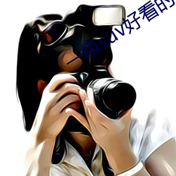 一級suv好看的國産