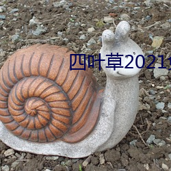 四叶草2021免费入口 （痛经）