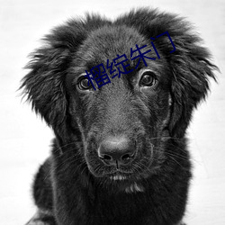 榴绽(zhn)朱门