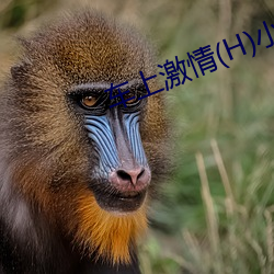 九游会登录j9入口 - 中国官方网站 | 真人游戏第一品牌