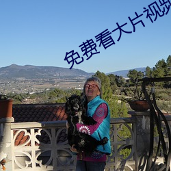 免费看大片视频