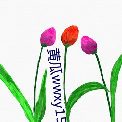 黄瓜wwxy15app （燃烧弹）