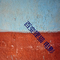 百变狸猫 电影 云谲波诡）