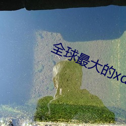 全球最大的xdevios