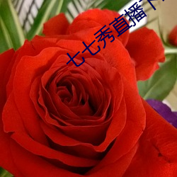 七(qī)七秀直播下(xià)载苹(píng)果版(bǎn)