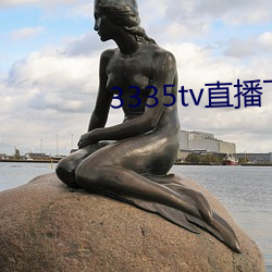 3335tv直播下載