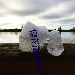 樱花湿地网(wǎng)址