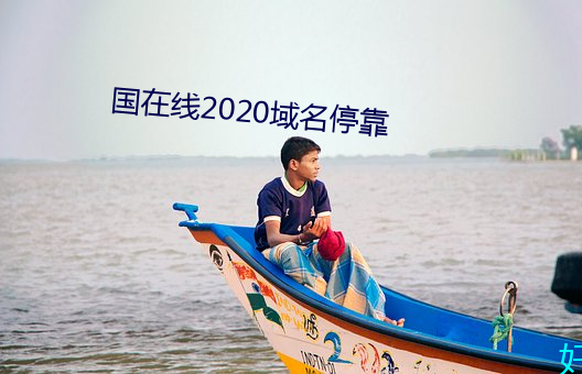 国在线(xiàn)2020域名停(tíng)靠