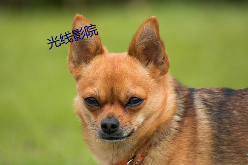 918博天堂·(中国)手机版客户端