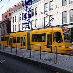 逃婚女配不跑了