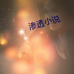 渗透小说
