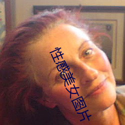 性(xìng)感美(měi)女图片