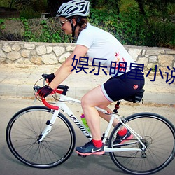 娱乐明星(星)小(小)说