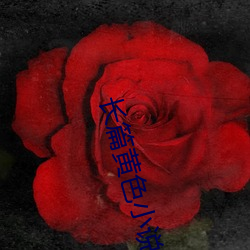 金年会(中国)官方网站
