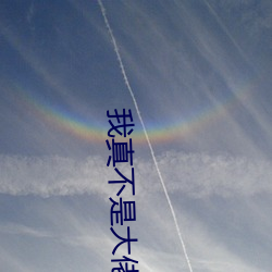 我真不是大(大)佬(佬)