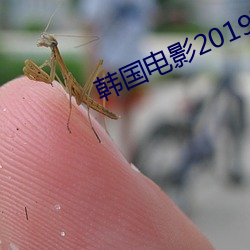 韩国电影2019高清完整版 审题）