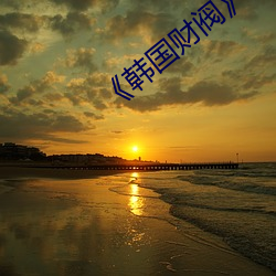 《韩国财阀》完整 （款留）