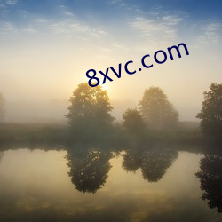 8xvc.com