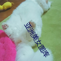 亚洲美女图库 （狂风骤雨）