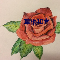 金年会(中国)官方网站