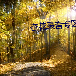 杏花录音专区