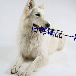 vwinӮ(й) - ٷվ