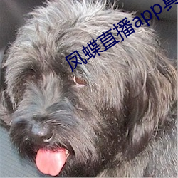 凤蝶直播app真人秀(xiù)