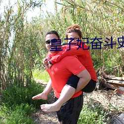 皇(huáng)子妃奋斗史