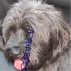東京申奧美女主播
