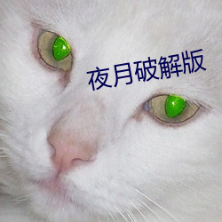 夜(夜)月(月)破(破)解(解)版